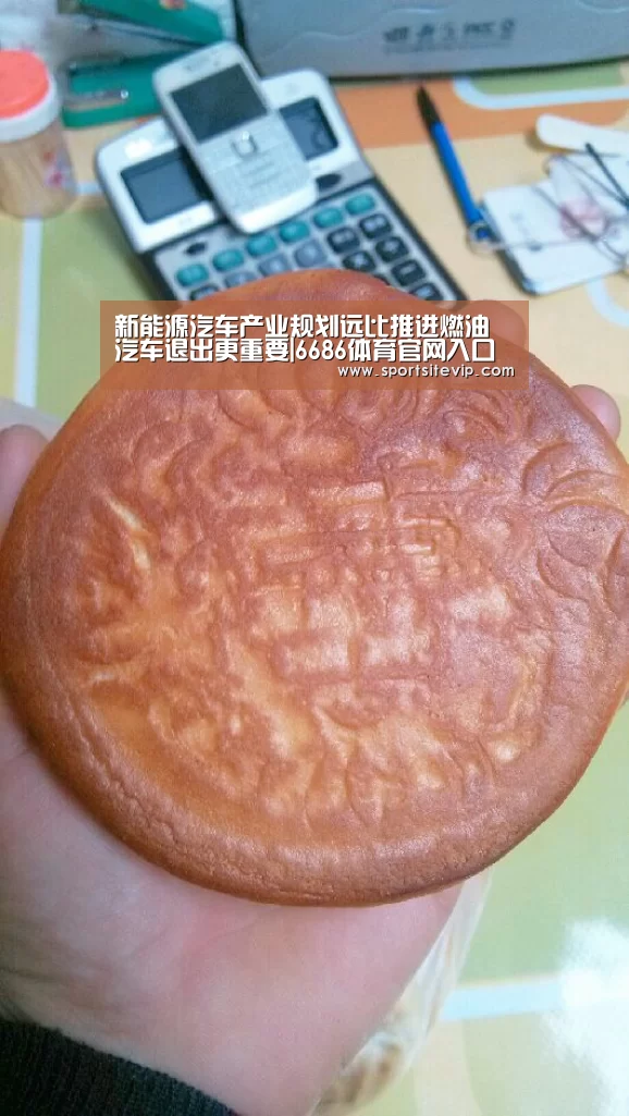 新能源汽车产业规划远比推进燃油汽车退出更重要|6686体育官网入口(图2) 6686体育app