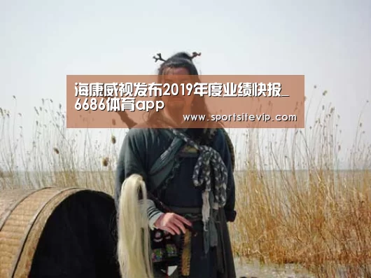 海康威视发布2019年度业绩快报_6686体育app(图1) 6686体育app