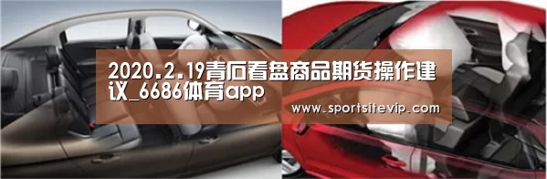 2020.2.19青石看盘商品期货操作建议_6686体育app