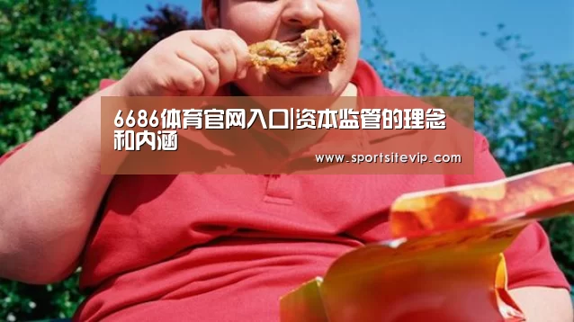 6686体育官网入口|资本监管的理念和内涵
